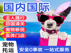 包头东河航空货运国际宠物托运 【国